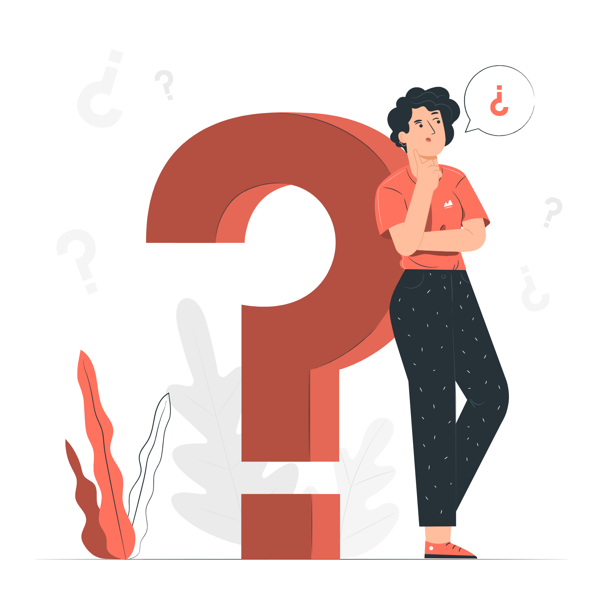 Web development illustration